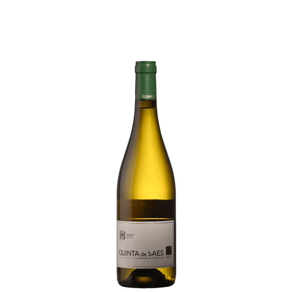 Quinta de Saes Dão Branco 2021 (Quinta da Pellada)