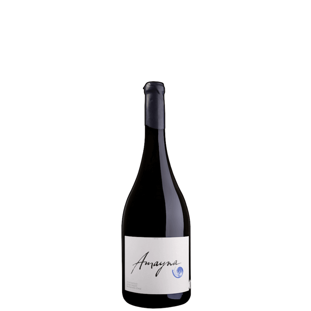 Amayna Syrah 2019 - Magnum (Garcés Silva Family Vineyards - Amayna Boya)