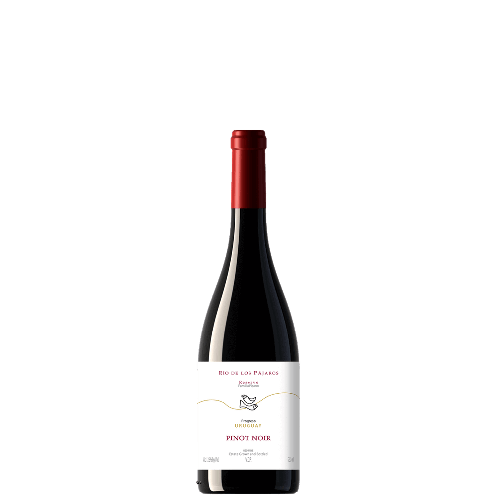 Rio de los Pájaros Pinot Noir Reserva 2020 (Pisano)