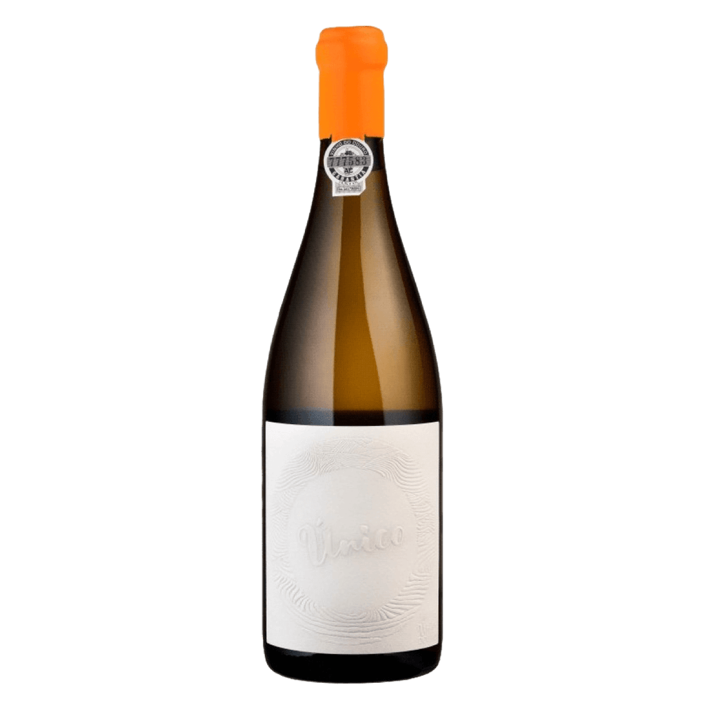 Conceito Único Branco 2019 (Conceito)