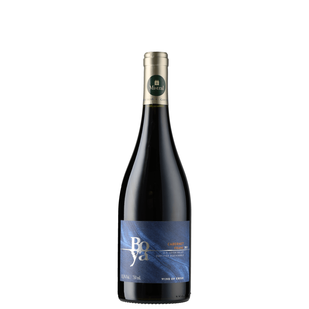 Boya Cabernet Franc 2021 (Garcés Silva Family Vineyards - Amayna Boya)