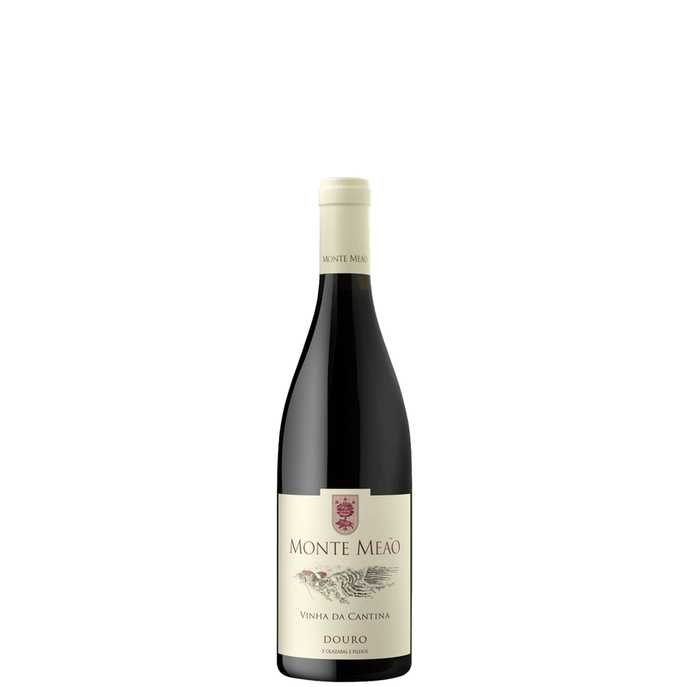 Monte Meão Vinha da Cantina 2021 (Quinta do Vale Meão)