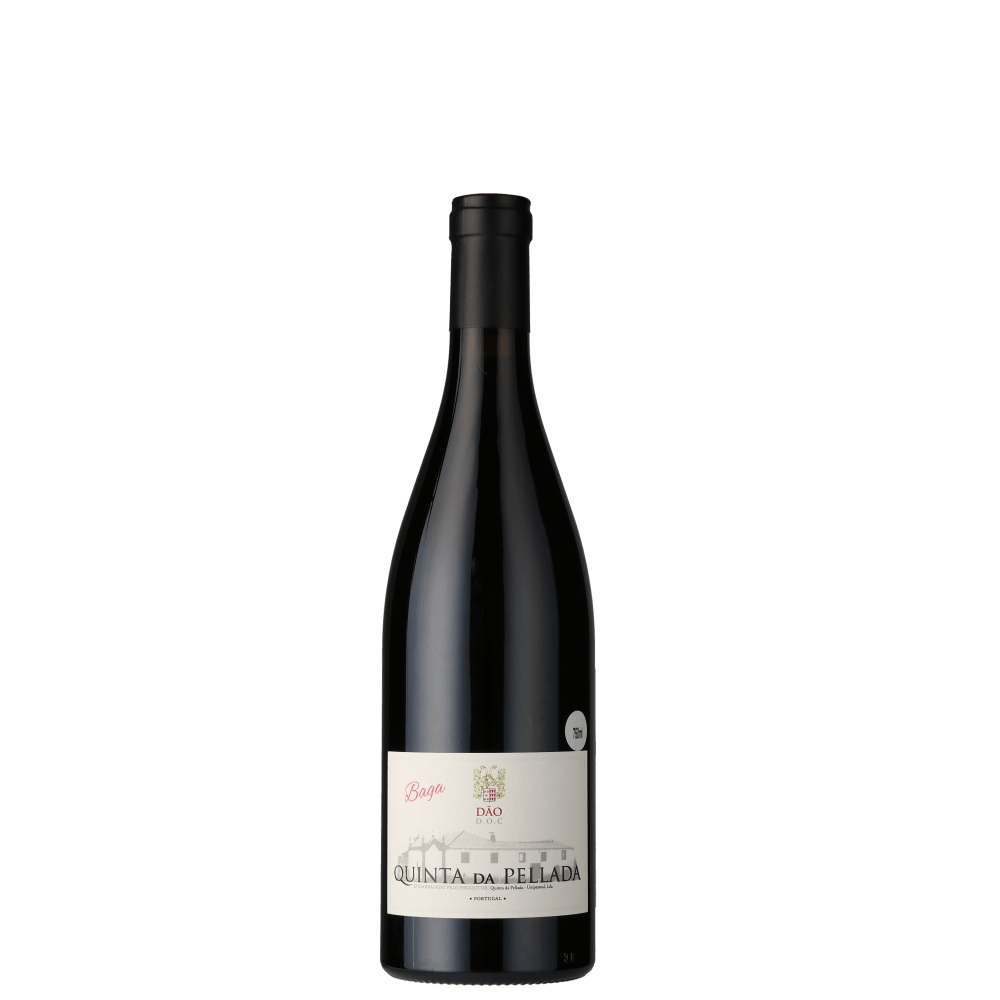 Quinta da Pellada Baga 2020 (Quinta da Pellada)