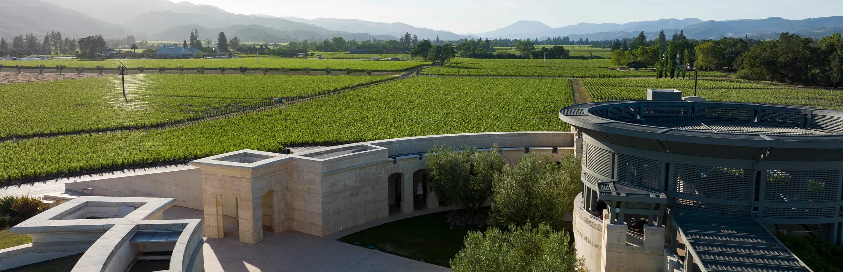 Background Grandes Vinhos OPUS ONE