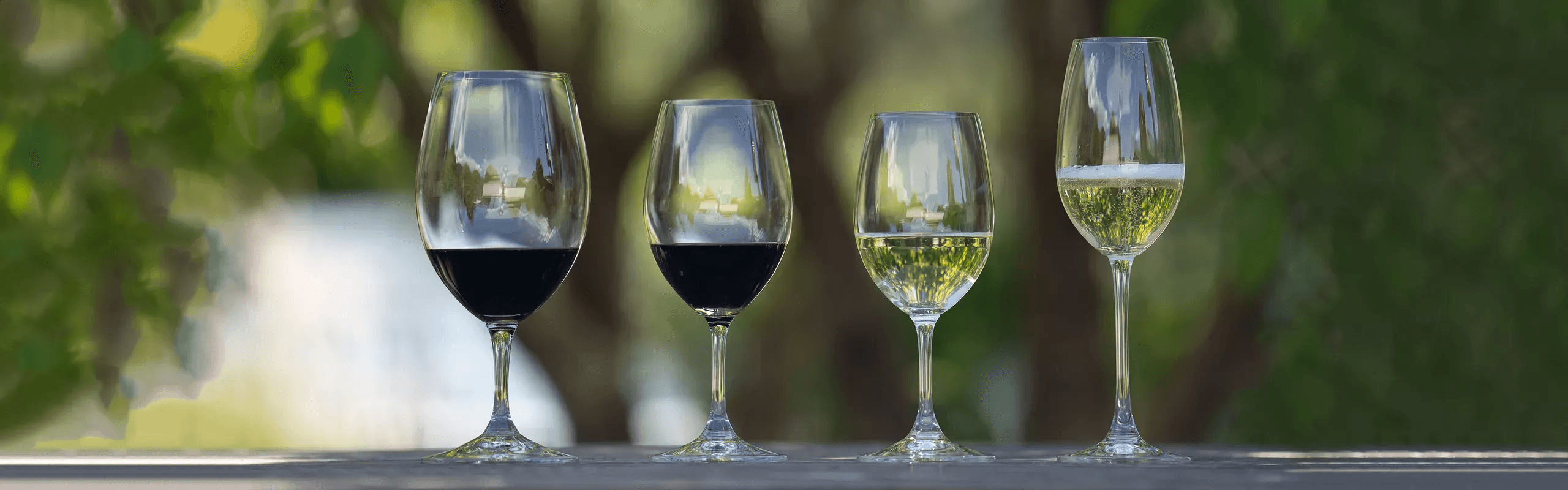 Riedel LINHA OUVERTURE