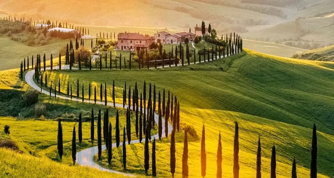 Brunello di Montalcino - Vinhedos da Toscana
