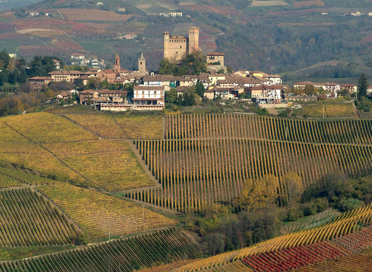 Gaja