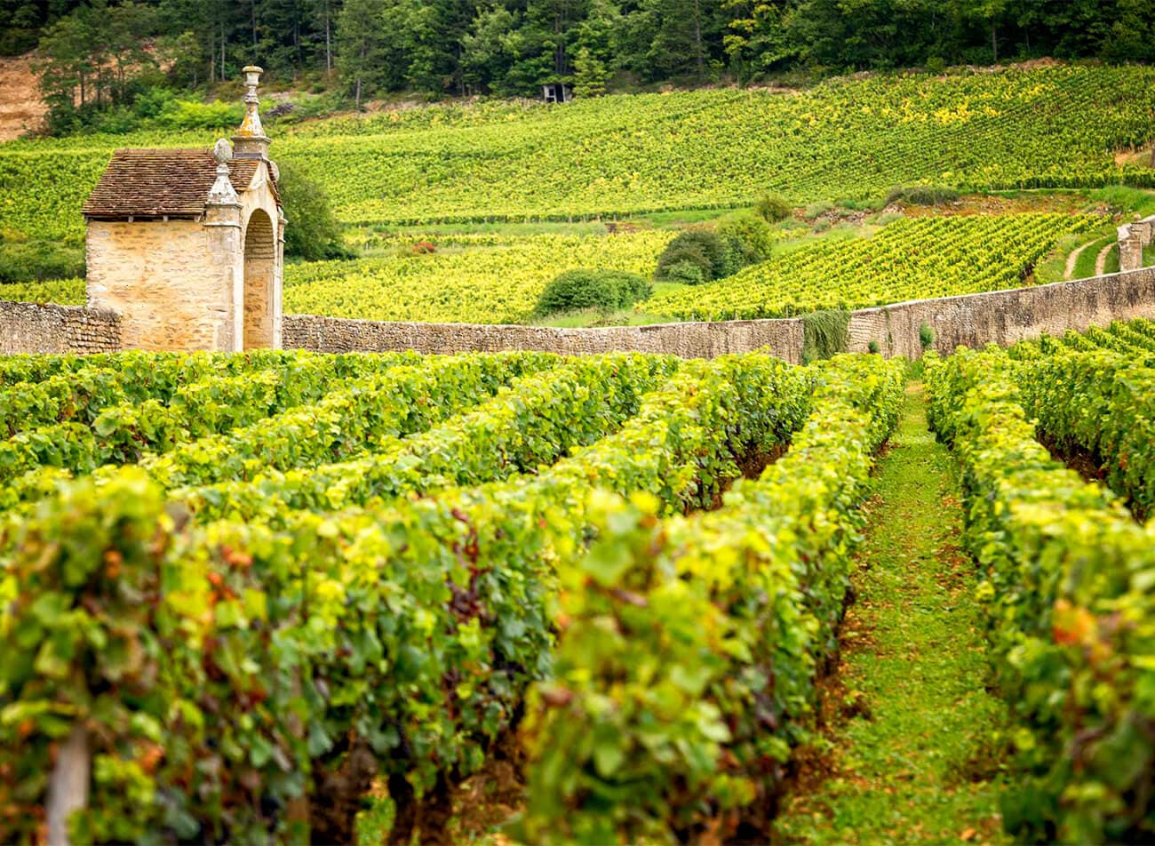 Domaine Robert Groffier