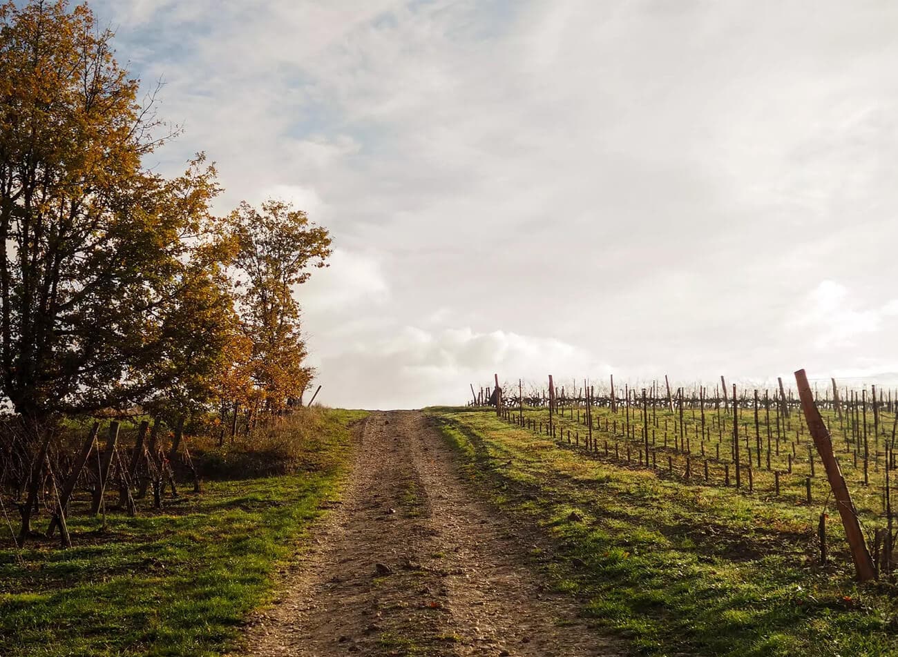 Domaine Barons De Rothschild