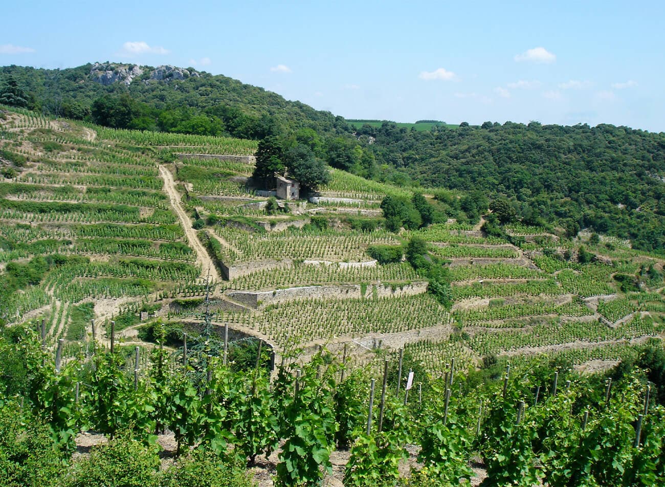 Domaine Clape