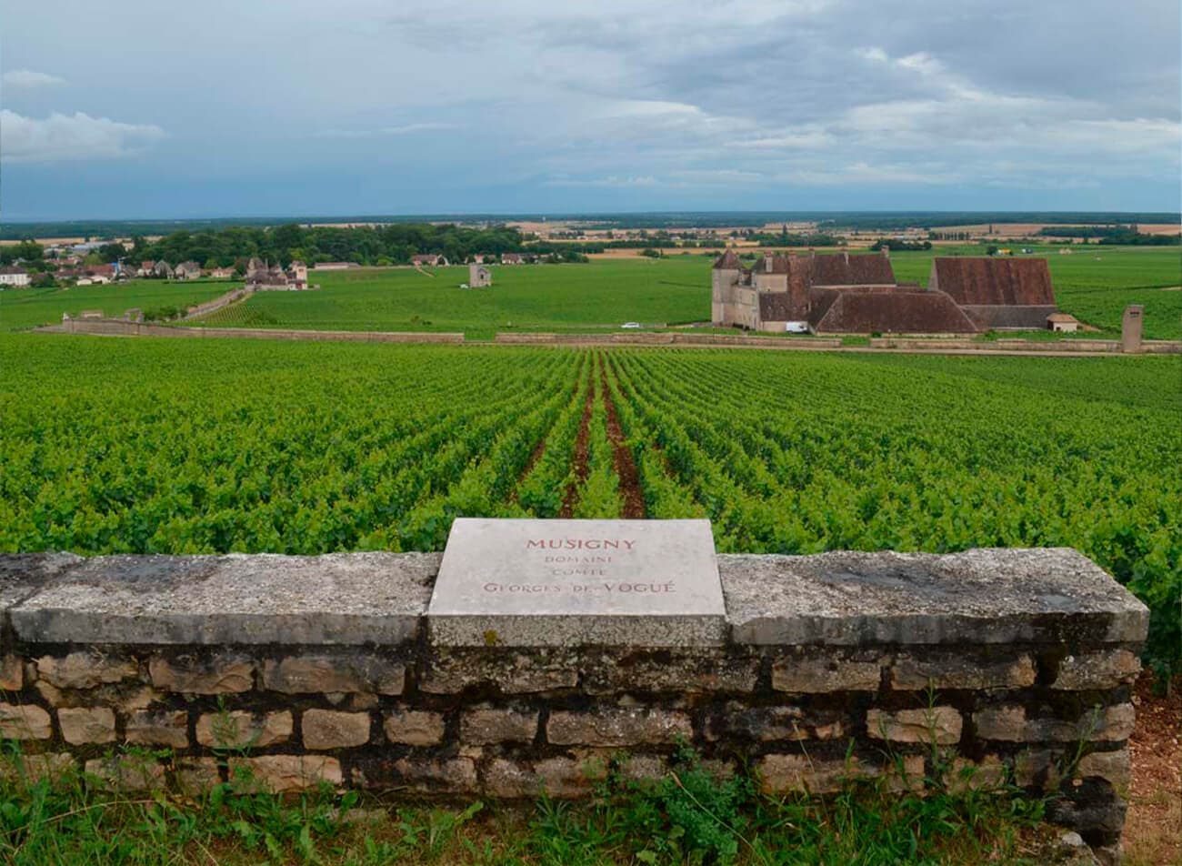 Domaine Comte Georges de Vogüé