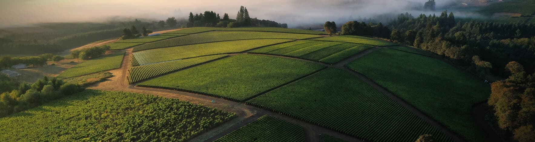 Domaine Drouhin Oregon