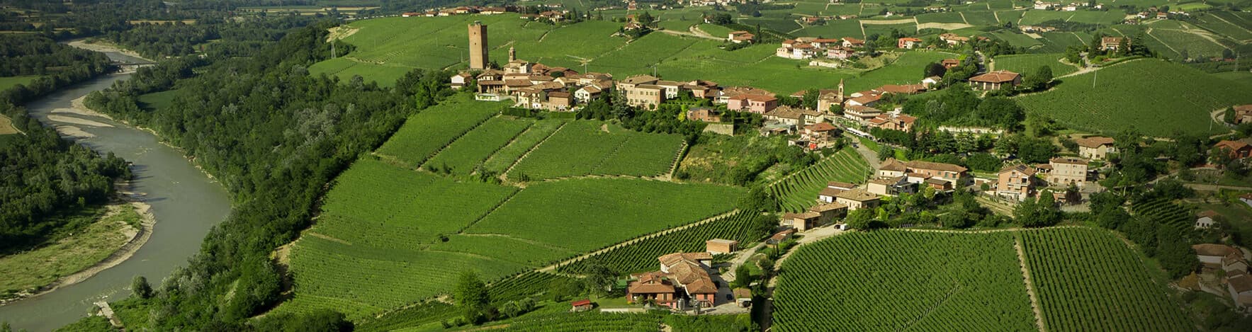 Gaja