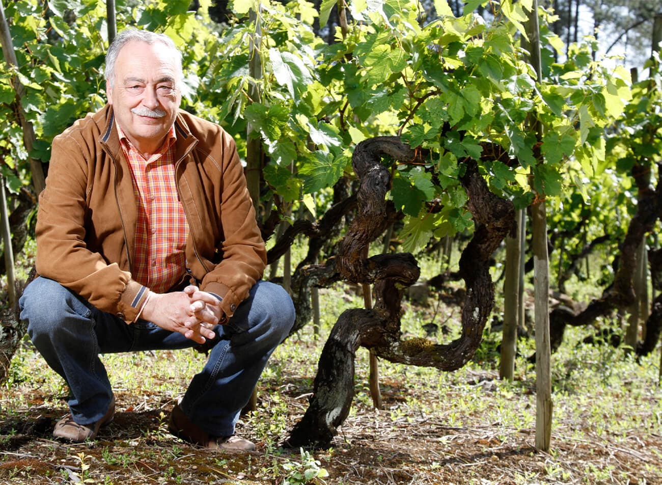 Luis Pato