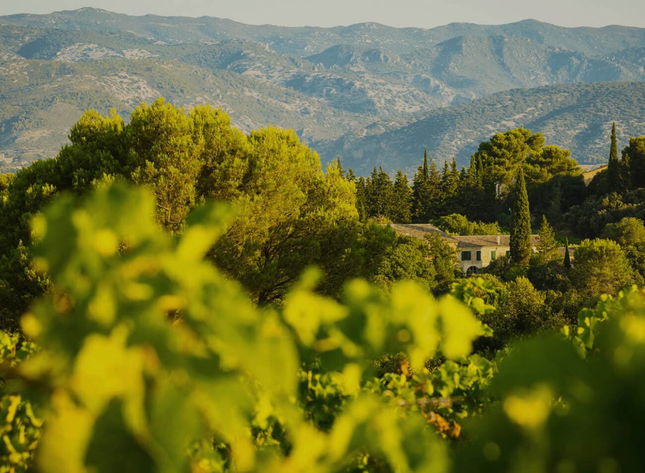 Mas de Daumas Gassac