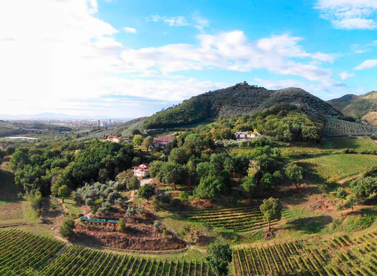 Montevetrano