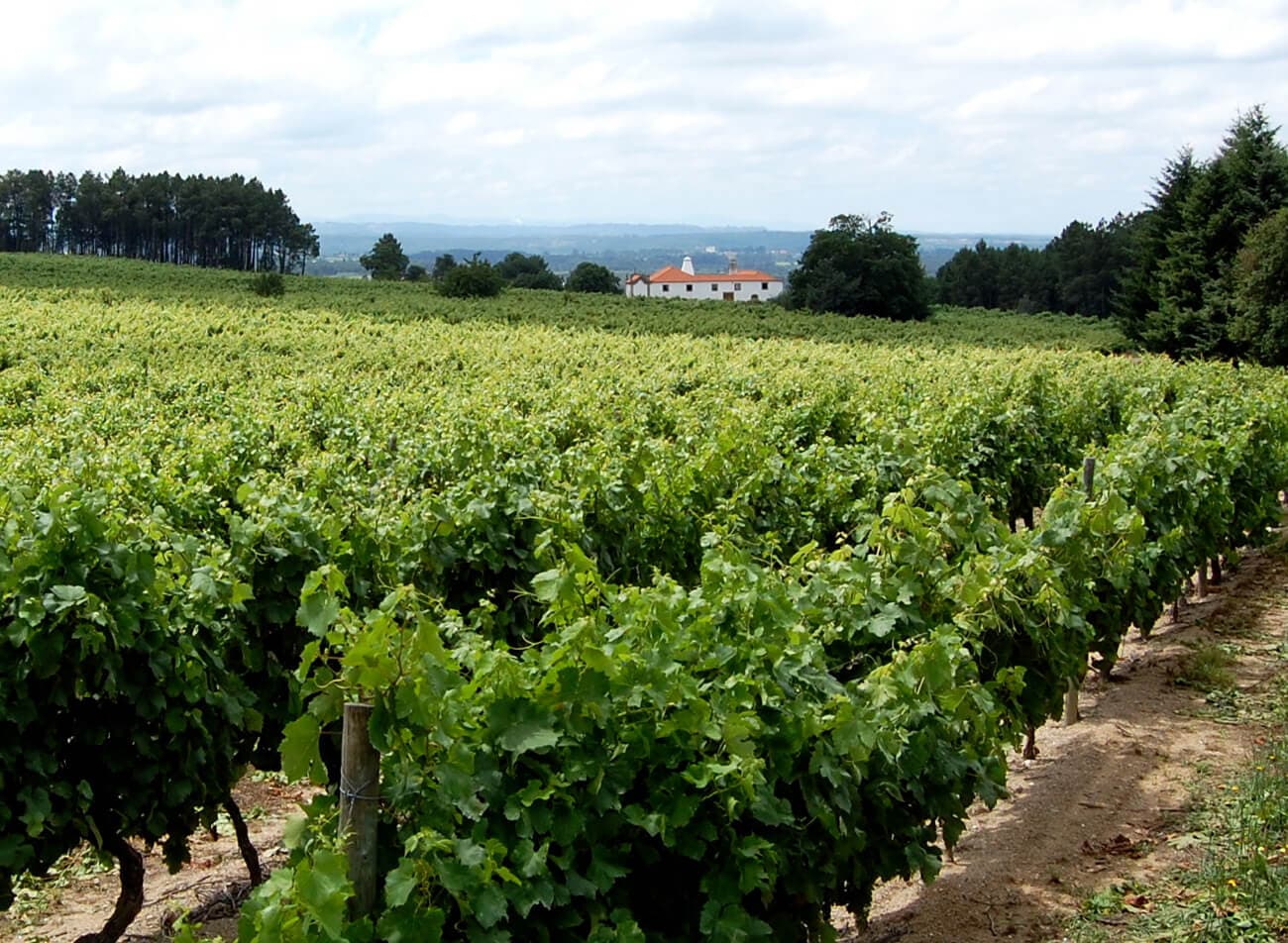 Quinta da Pellada