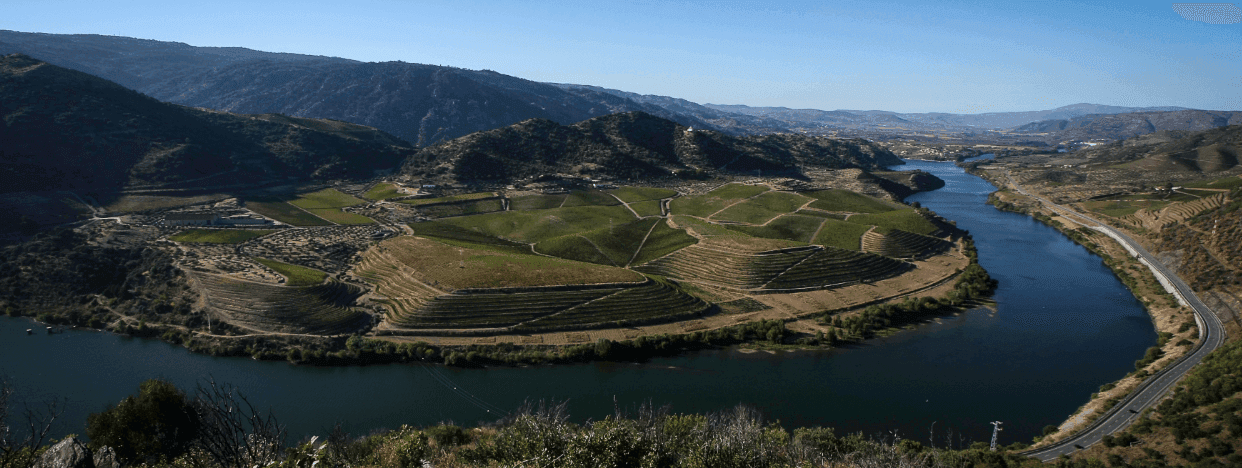 Quinta do Vale Meão