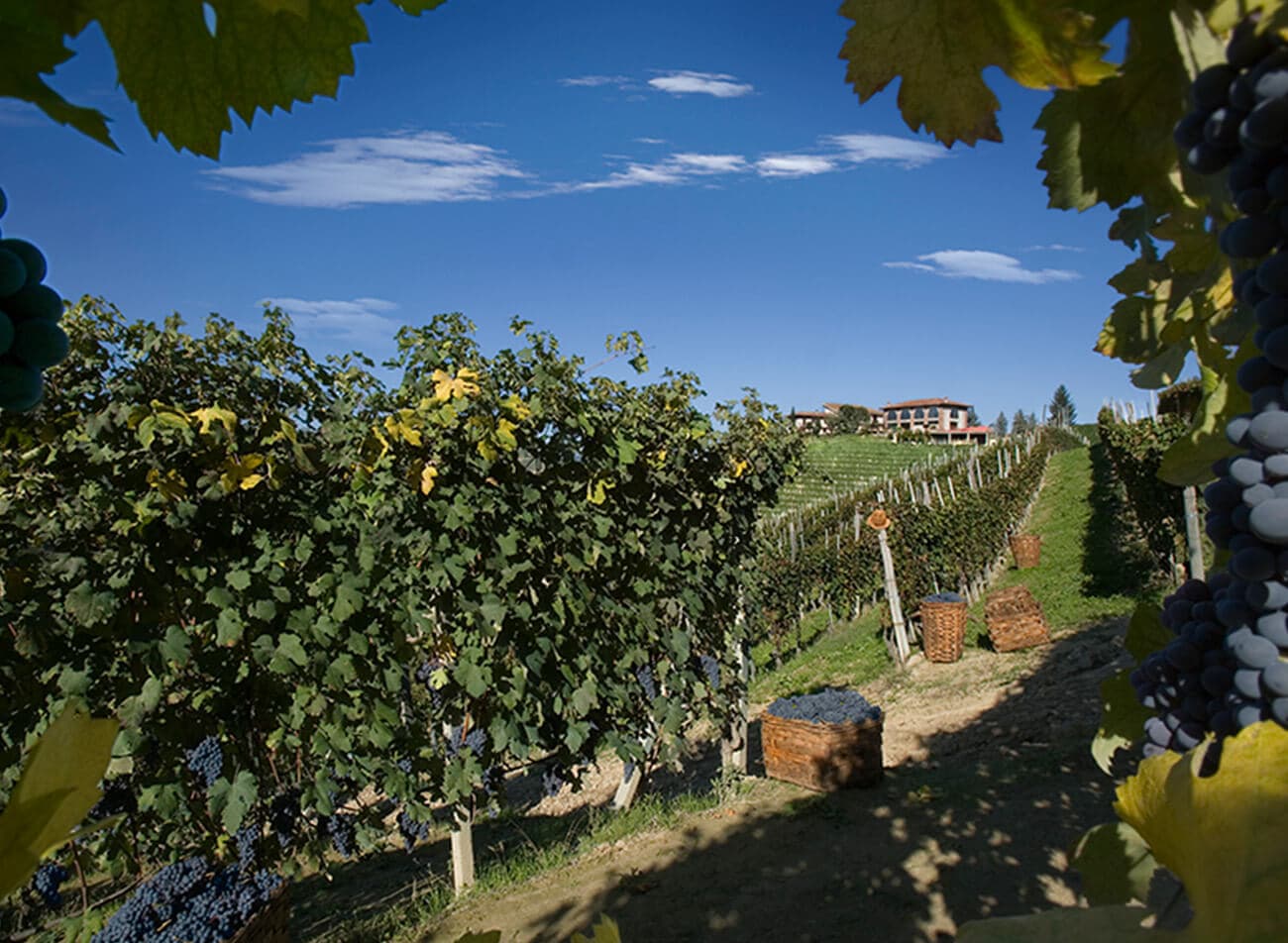 Bruno Giacosa