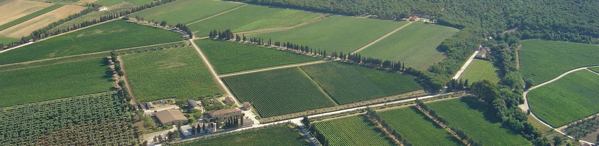 Ca' Marcanda