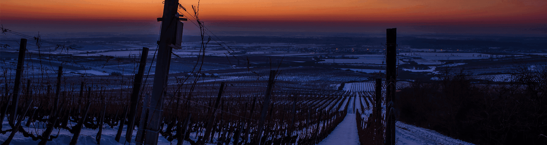 Tokaj Oremus (Vega Sicilia)