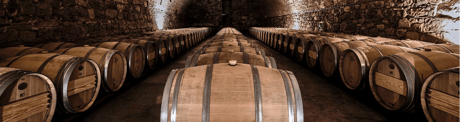 Bodegas Caro (Catena & Rothschild)