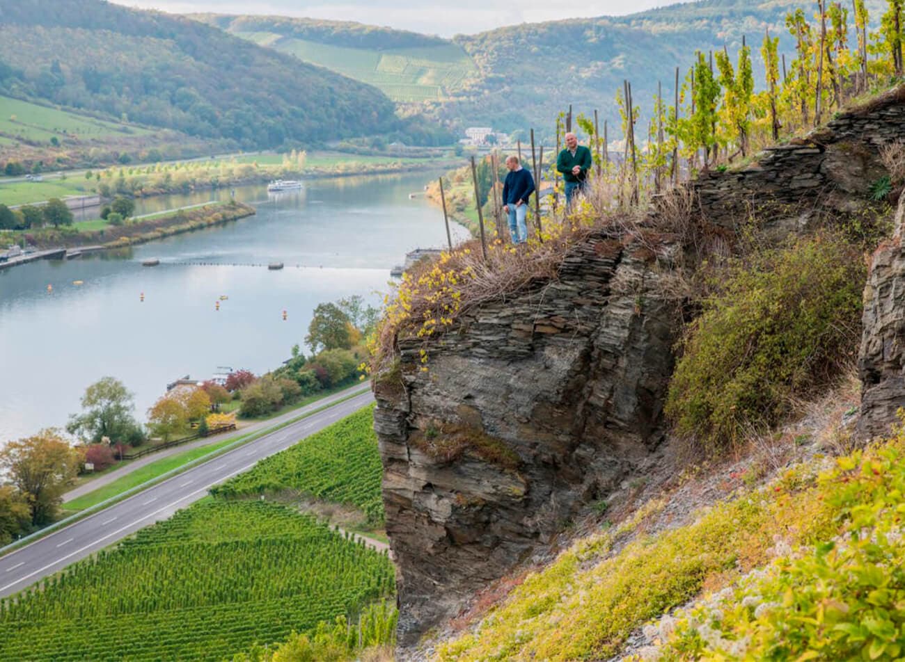 Selbach Oster