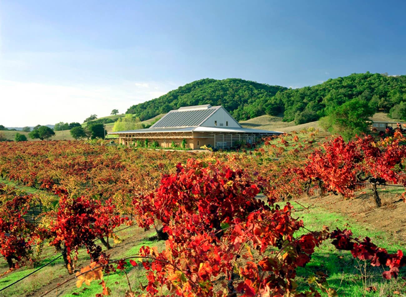 Ridge Vineyards