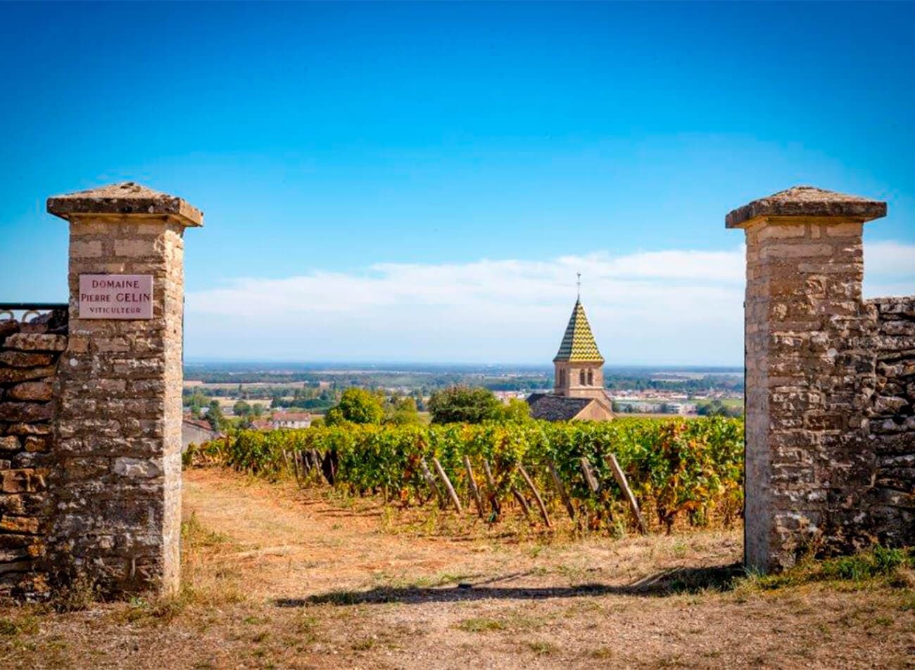 Domaine Pierre Gelin