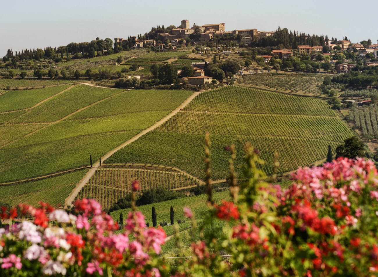 Fontodi