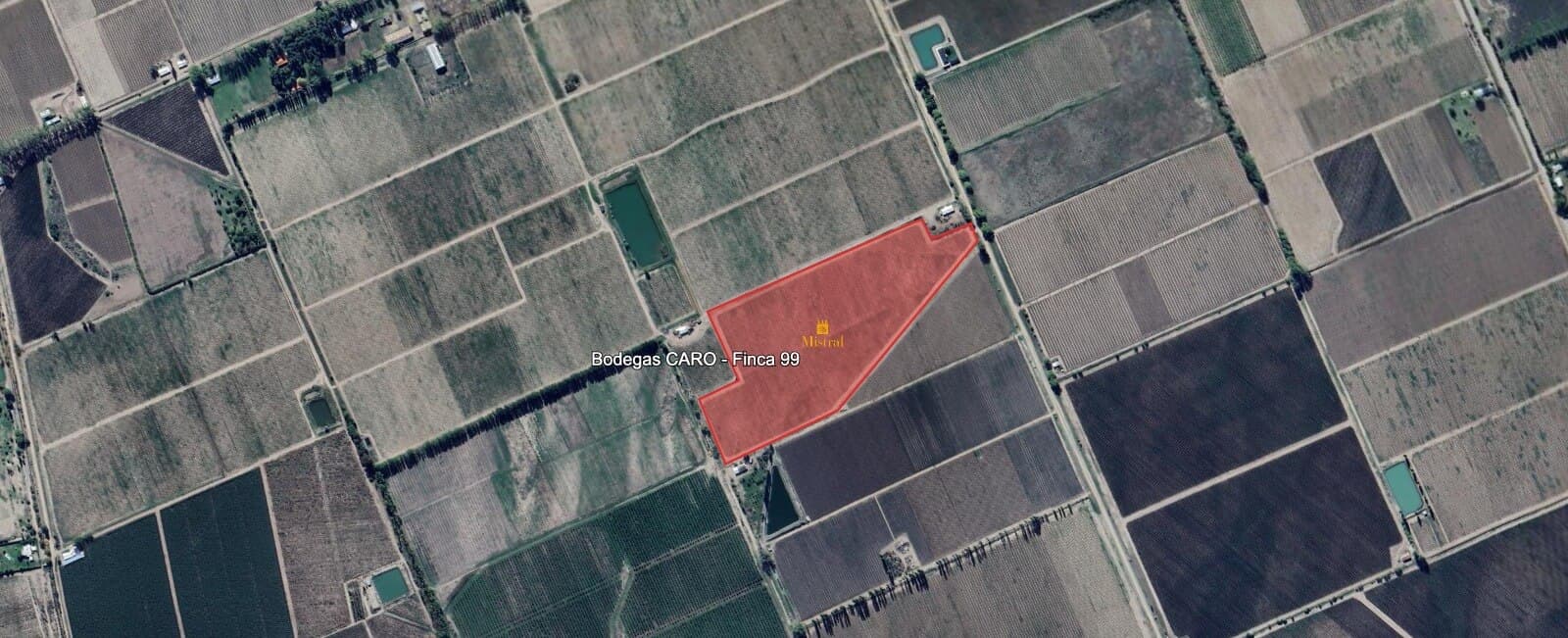 Mapa do terroir - Amancaya 2021