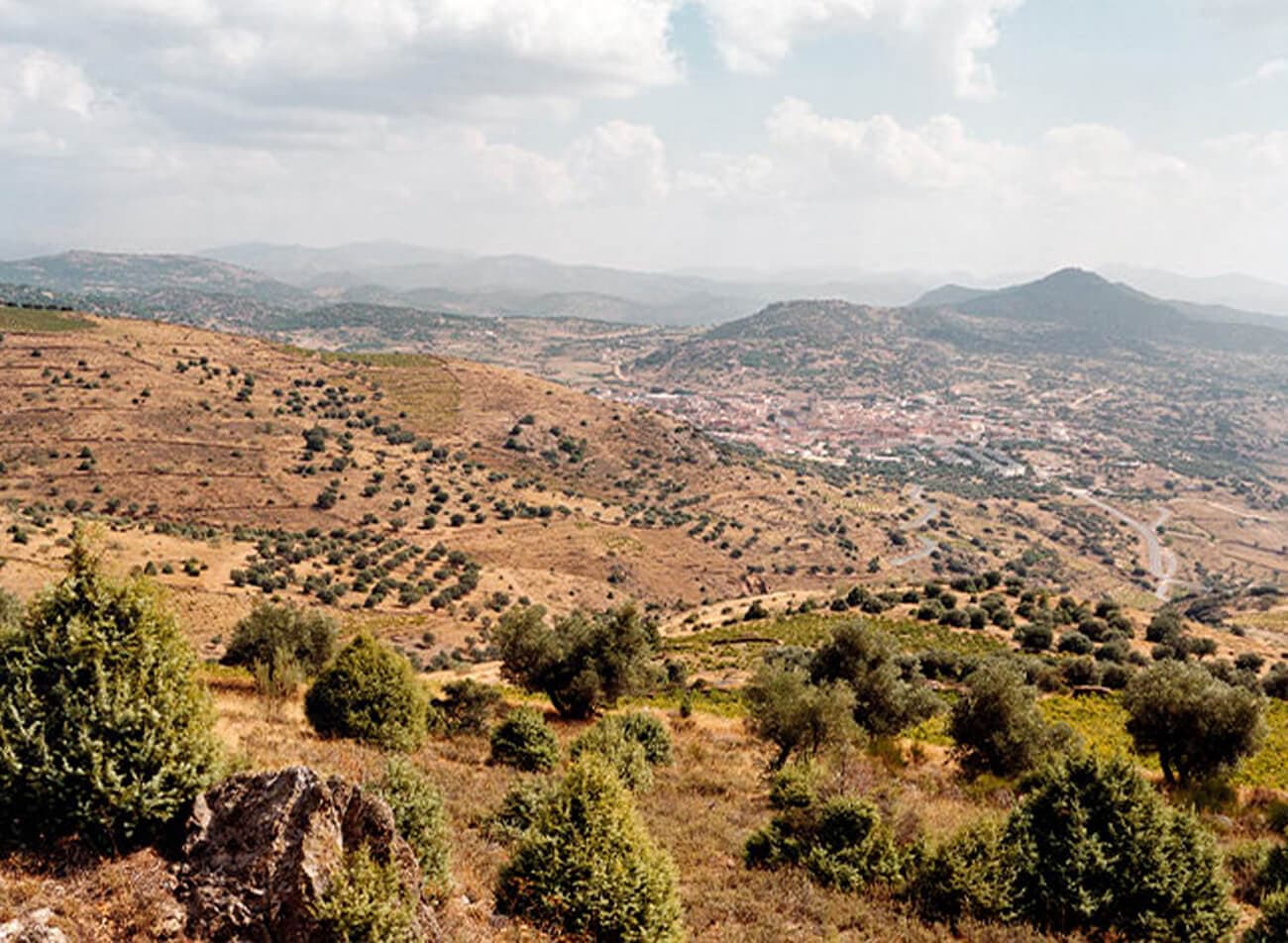 Rueda