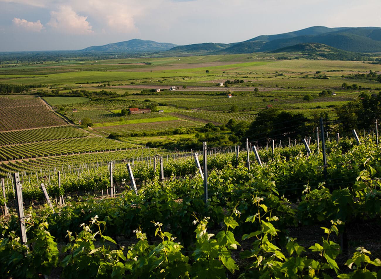 Tokaj