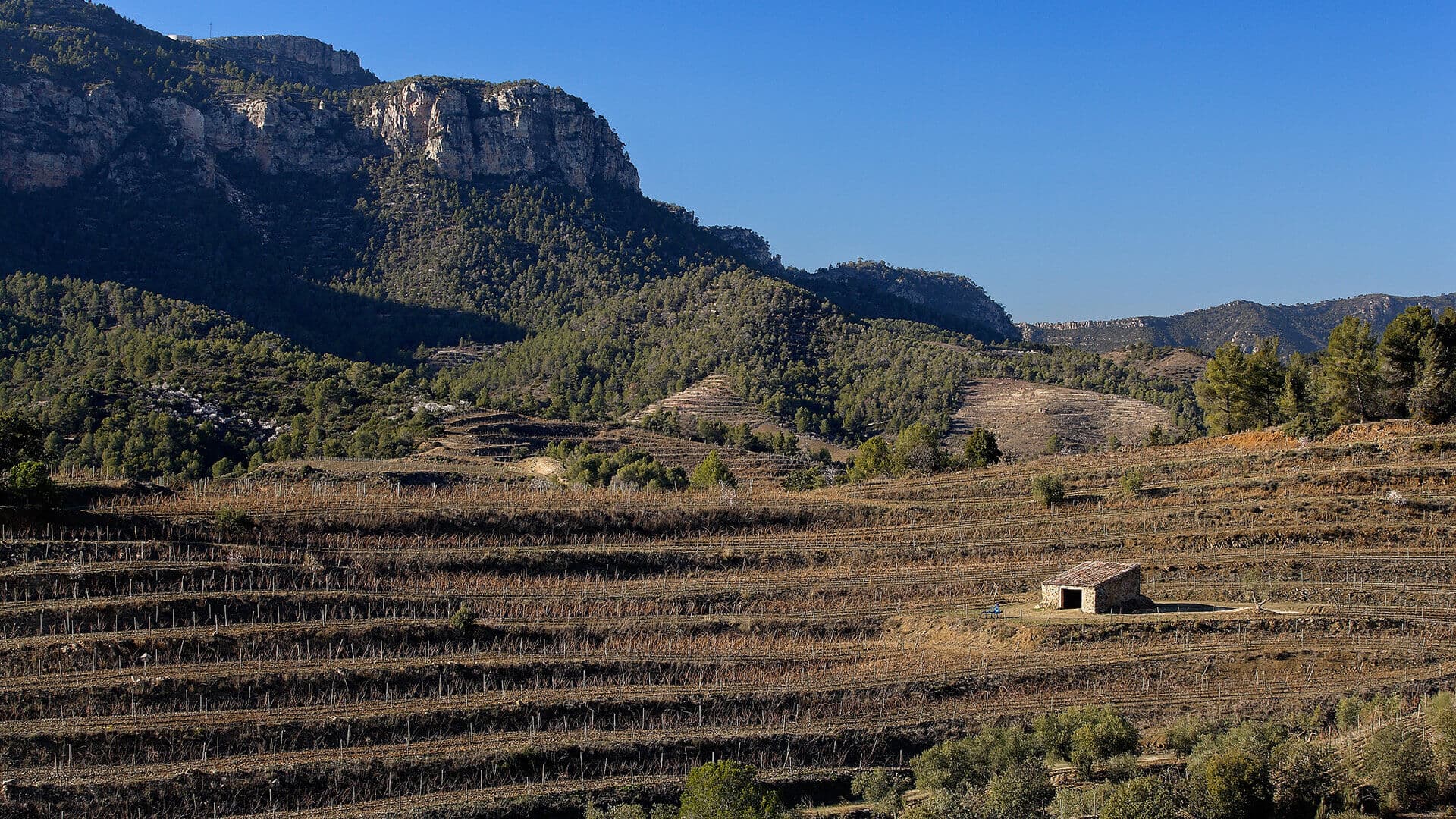Catalunha