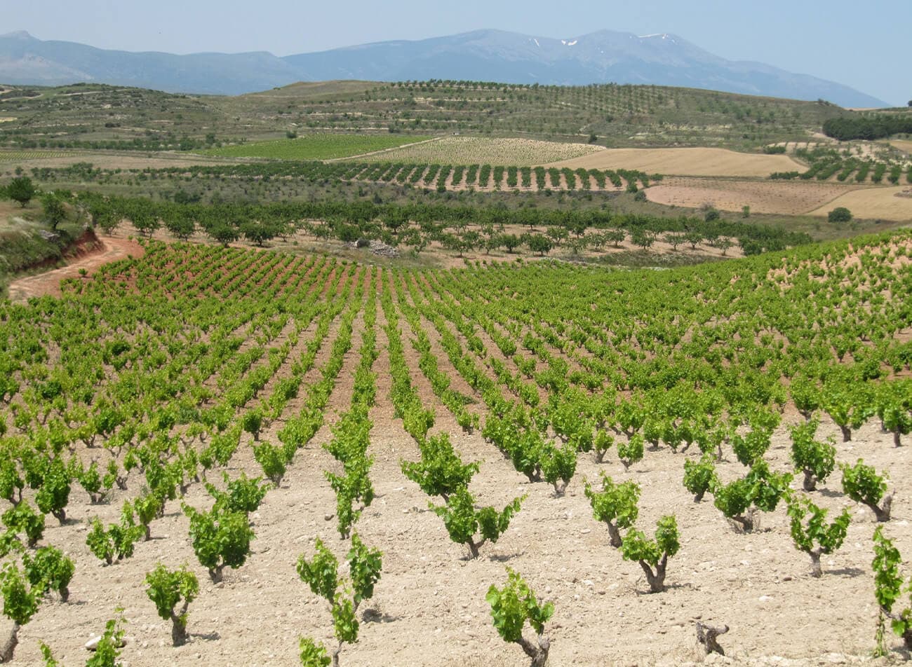 Aragón
