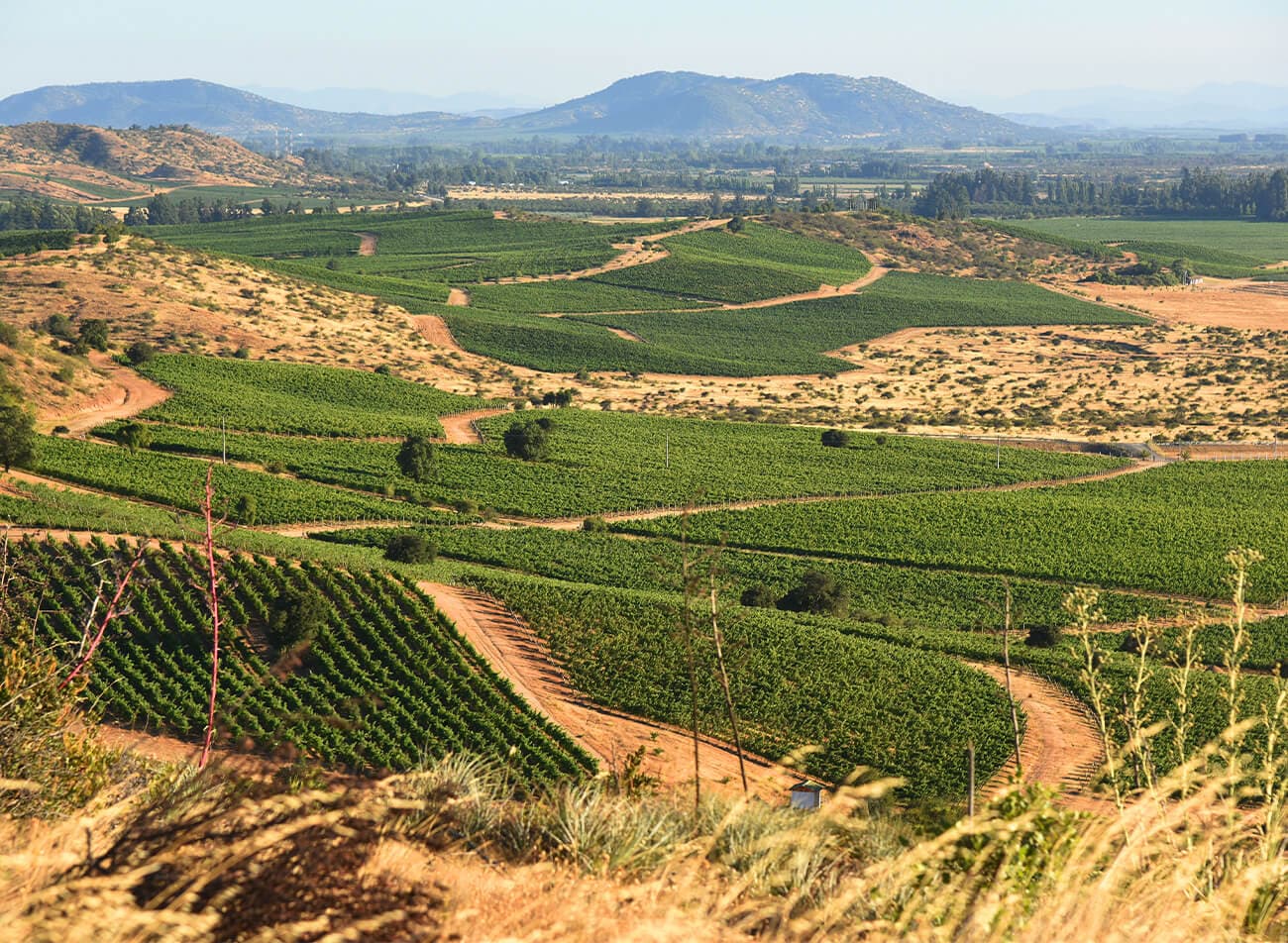 Valle de Colchagua
