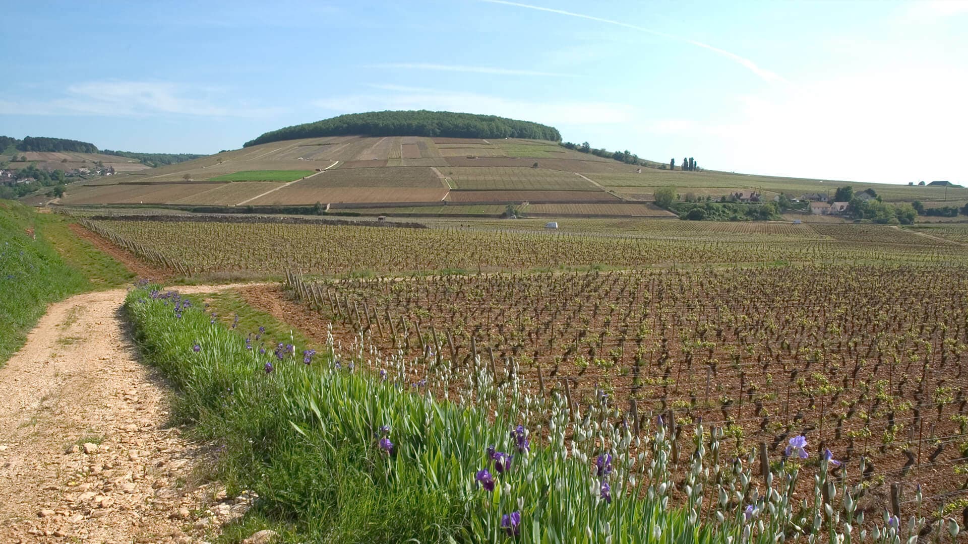 Bourgogne