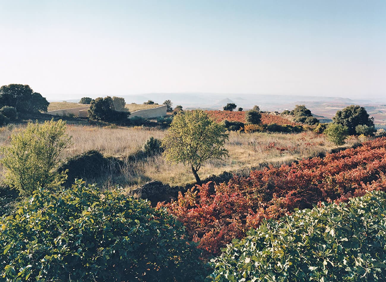Valle del Alberche