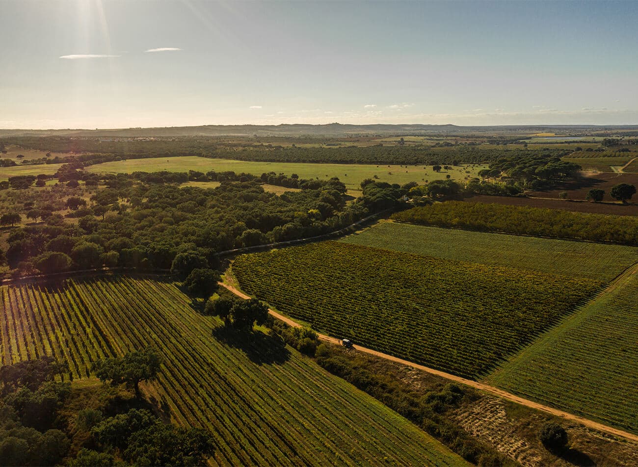 Alentejo