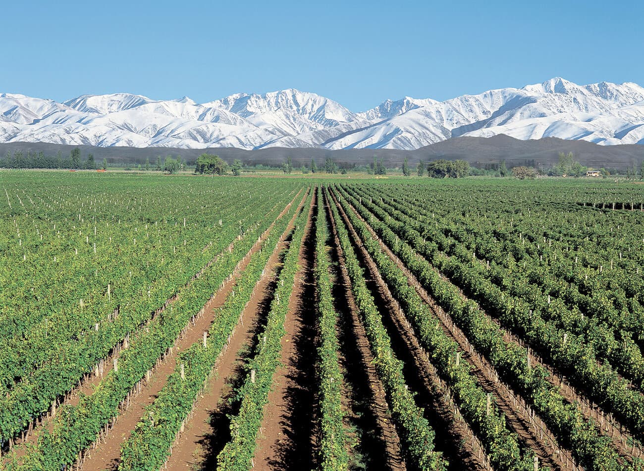 Mendoza