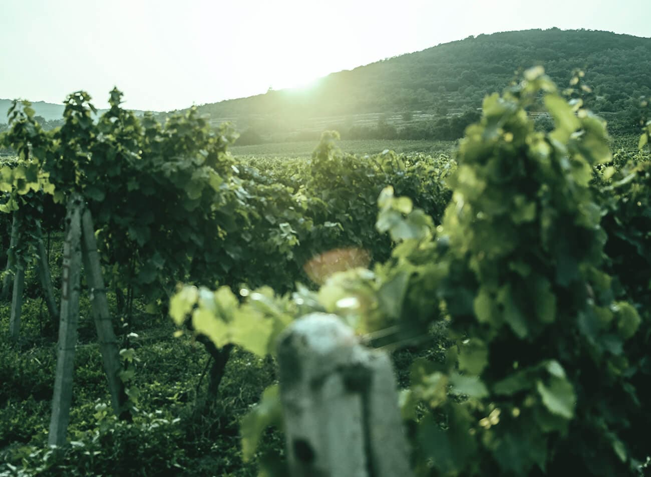 Rías Baixas