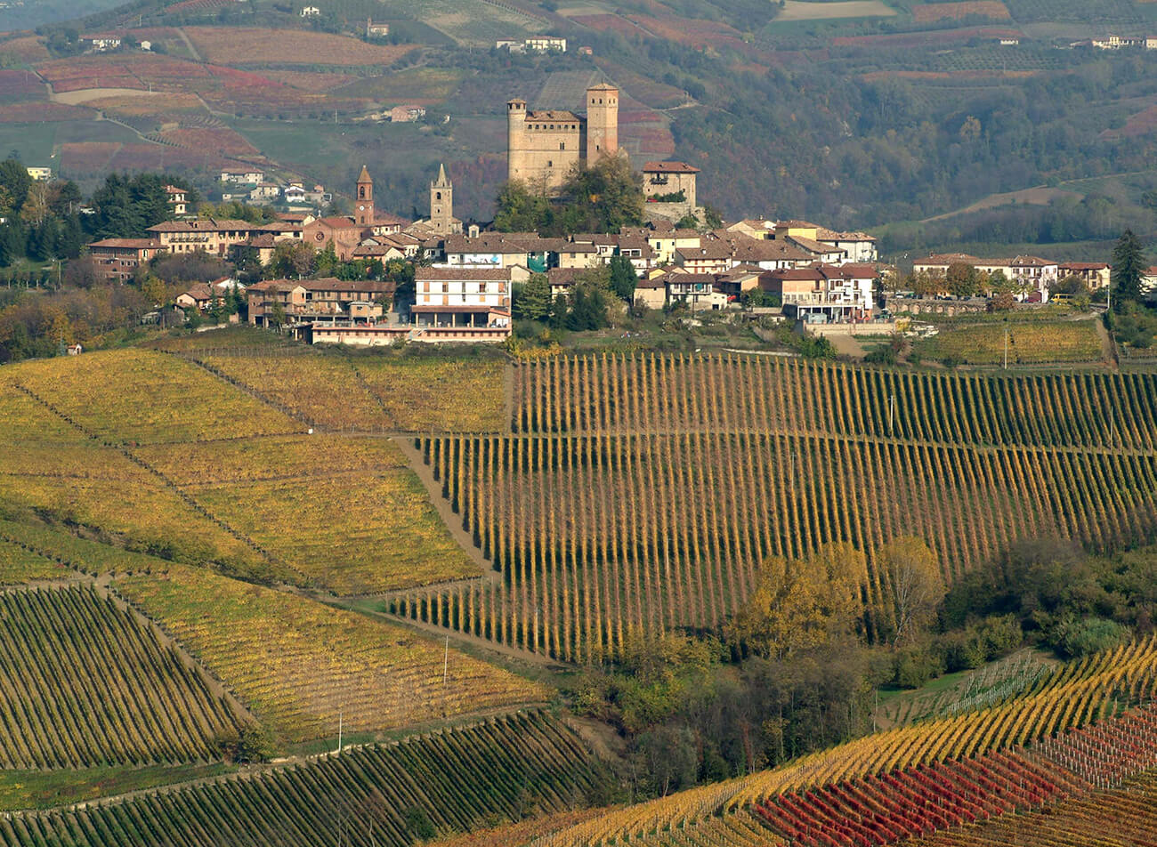 Gaja