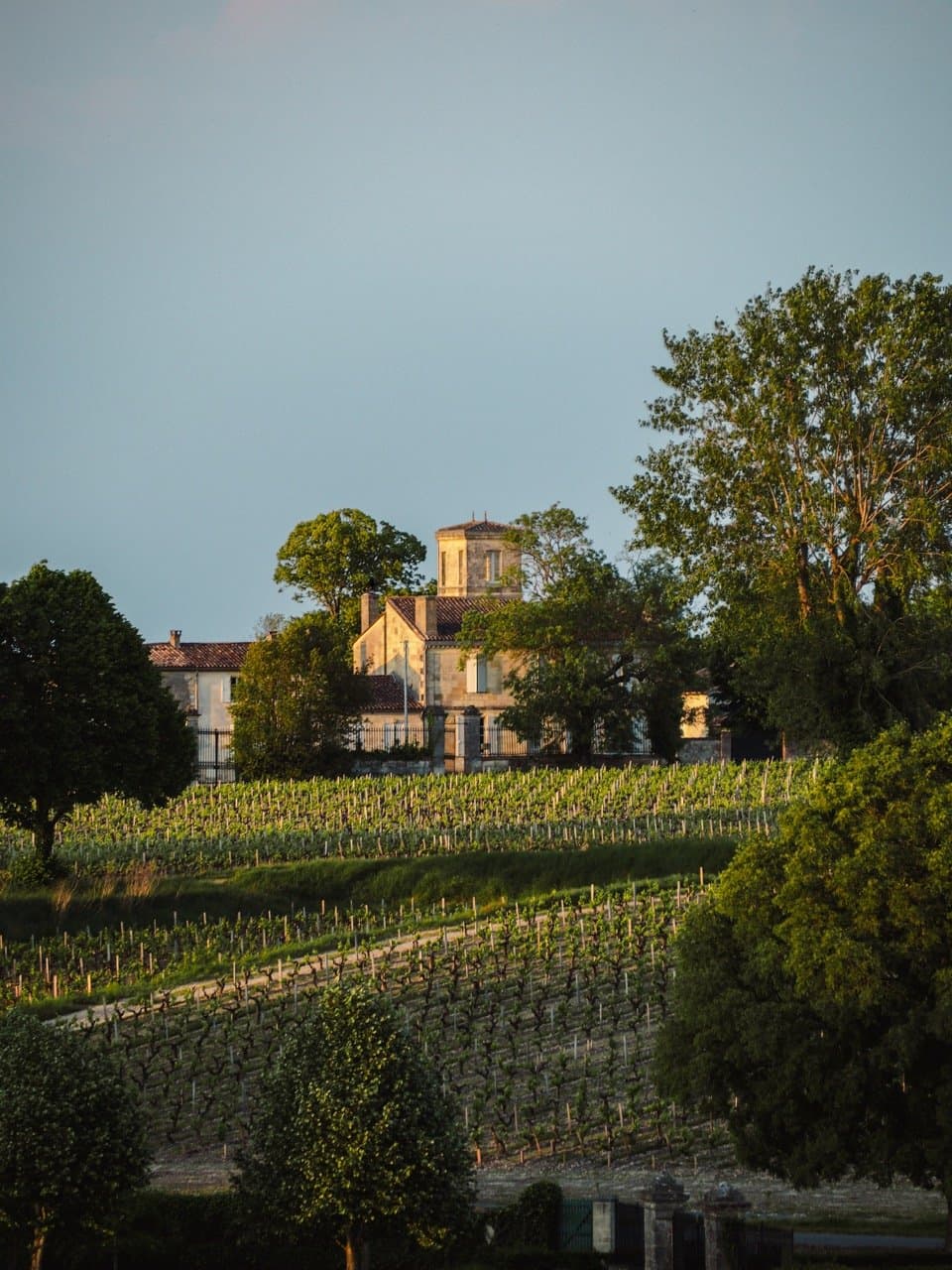 Anseillan - Château Lafite