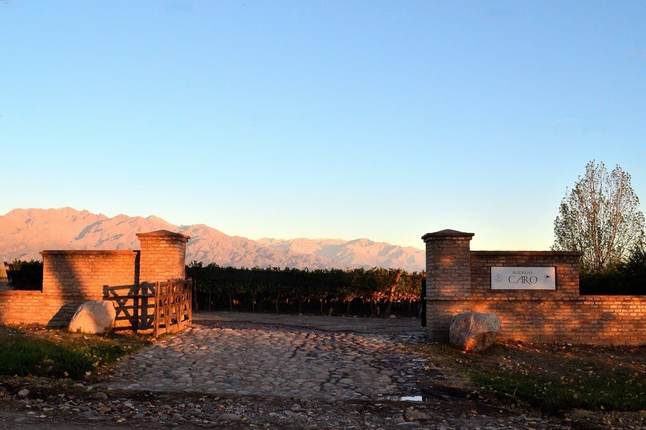 Bodegas Caro - Vinhedos no inverno