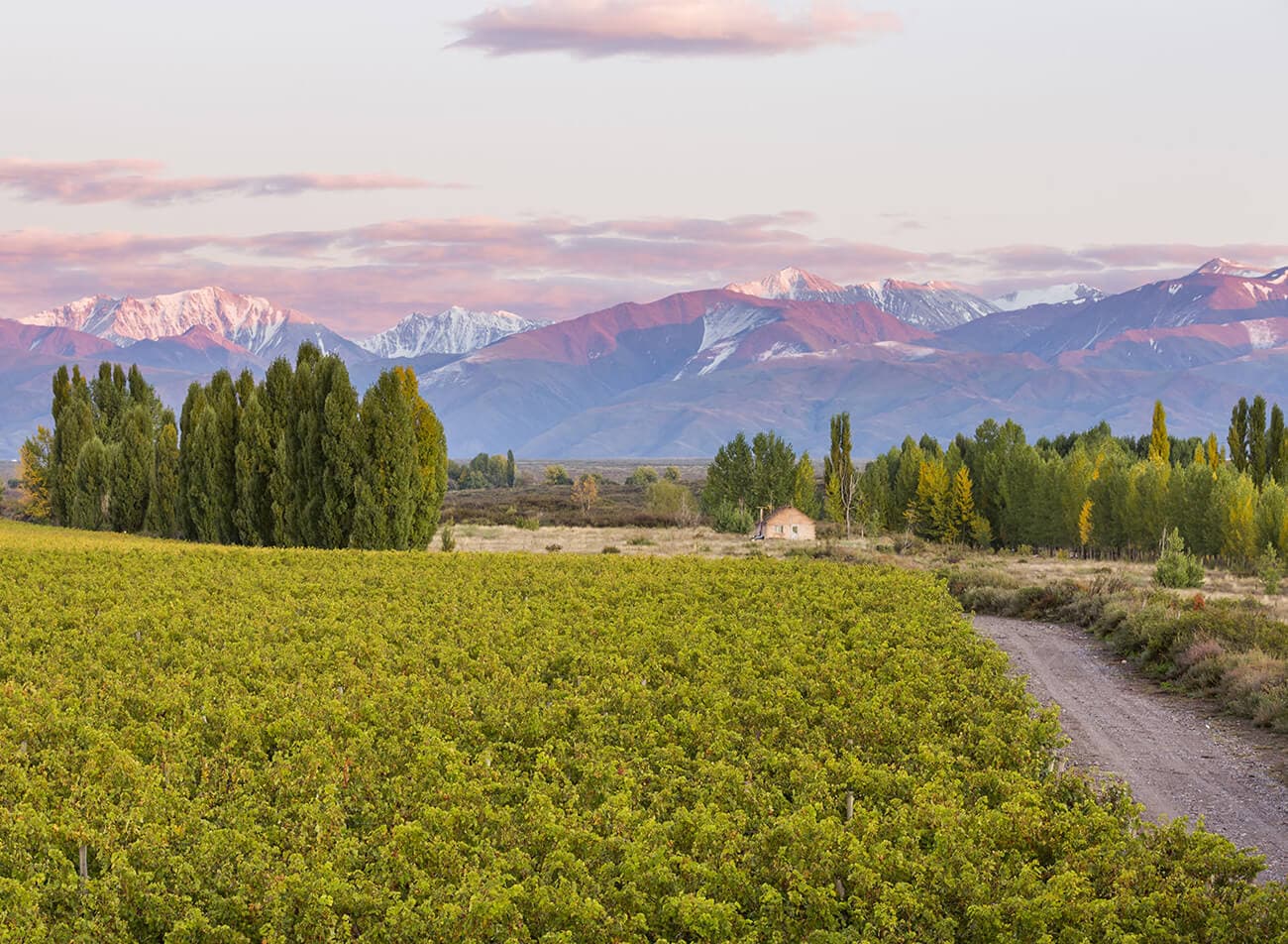 Valle de Uco