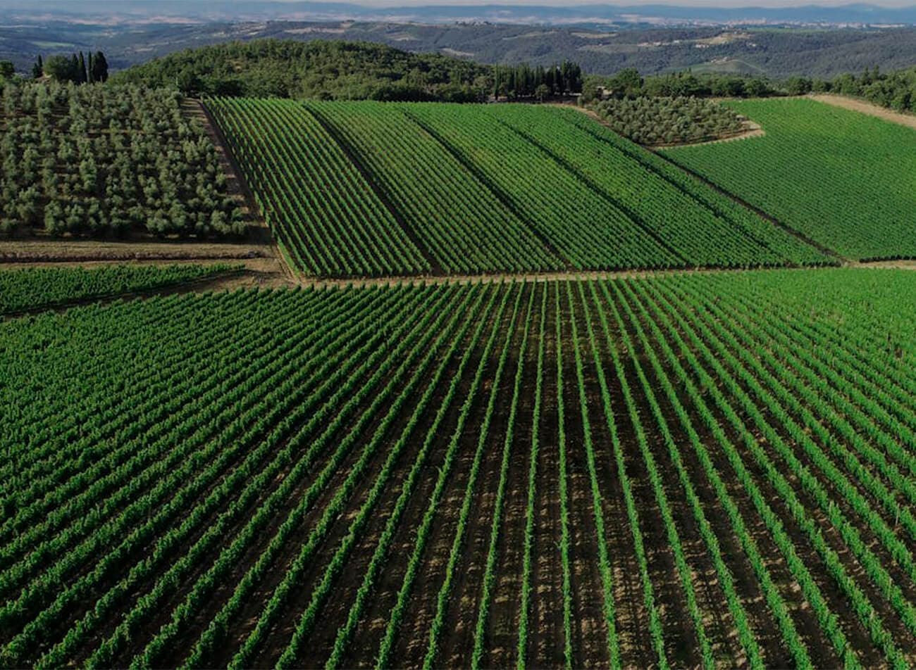 Chianti Classico