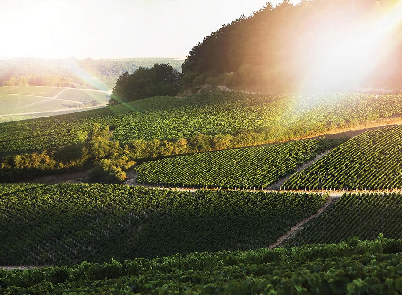 Chablis